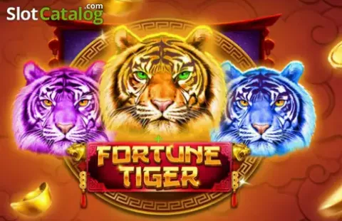 casino score tracker and statistics screen